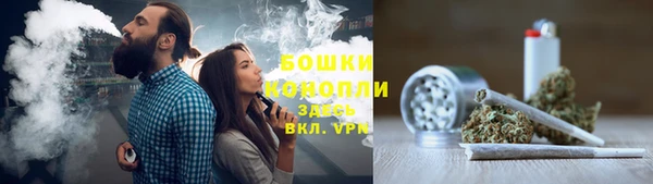 дмт Мегион