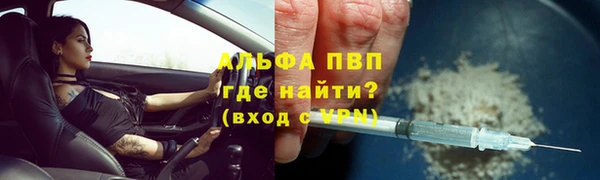 дмт Мегион
