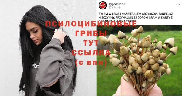 соль ск Медвежьегорск