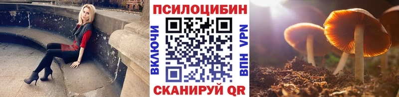 мориарти клад Воткинск Псилоцибиновые грибы MAGIC MUSHROOMS