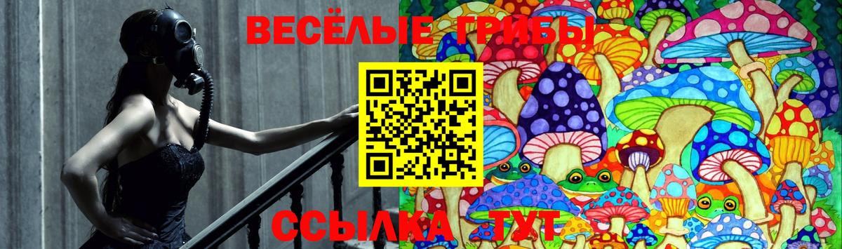 Галлюциногенные грибы Cubensis  Псилоцибиновые грибы прущие грибы  Вход с VPN  Воткинск 